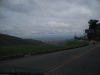 Another Shot of the City