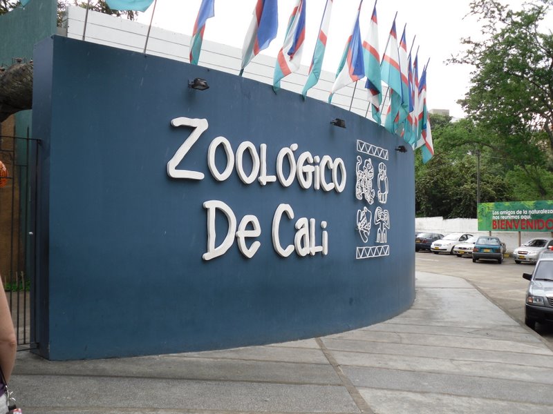 Cali Zoo