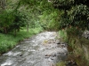 The Cali River