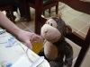 Monkey at Breakfast