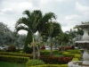 Garden at the Restaurant