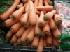 Giant Carrots